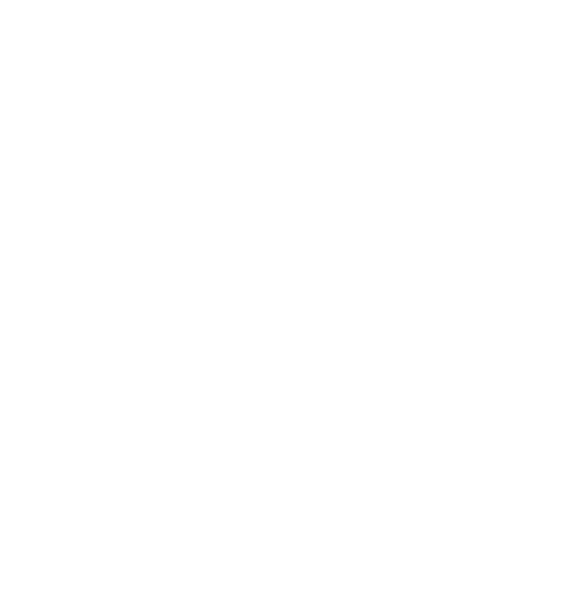 The Tomorrow Foundation logo